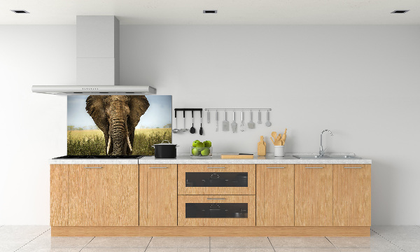 Rivestimento parete cucina con stampa raffigurante un elefante nella savana