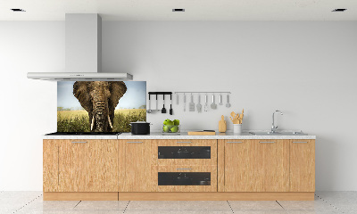 Rivestimento parete cucina con stampa raffigurante un elefante nella savana