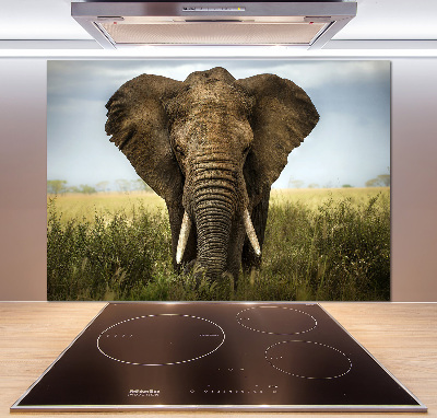 Rivestimento parete cucina con stampa raffigurante un elefante nella savana