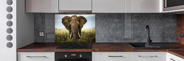 Rivestimento parete cucina con stampa raffigurante un elefante nella savana