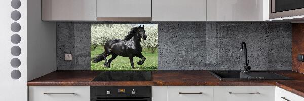 Pannello retrocucina con motivo Fiori di cavalluccio nero