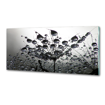 Rivestimento parete cucina con motivo a semi di tarassaco