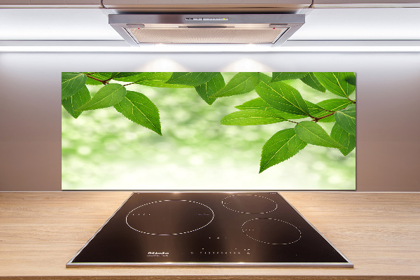 Pannello paraschizzi cucina con motivo foglie verdi