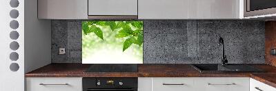 Pannello paraschizzi cucina con motivo foglie verdi