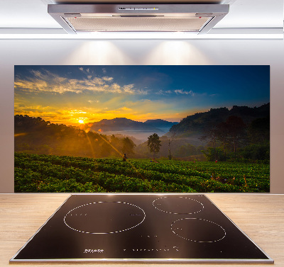 Pannello paraschizzi cucina con motivo Piantagione di tè