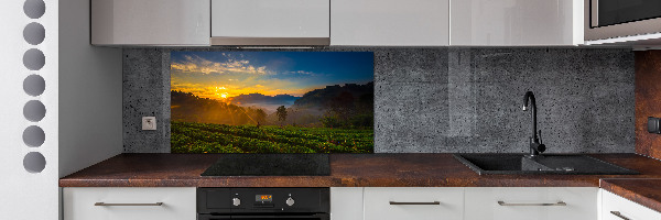 Pannello paraschizzi cucina con motivo Piantagione di tè