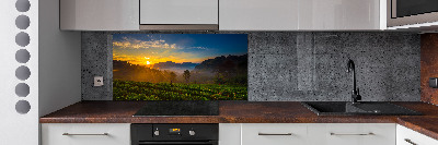 Pannello paraschizzi cucina con motivo Piantagione di tè