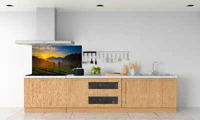 Pannello paraschizzi cucina con motivo Piantagione di tè