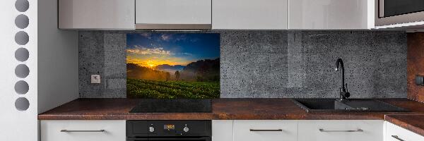 Pannello paraschizzi cucina con motivo Piantagione di tè