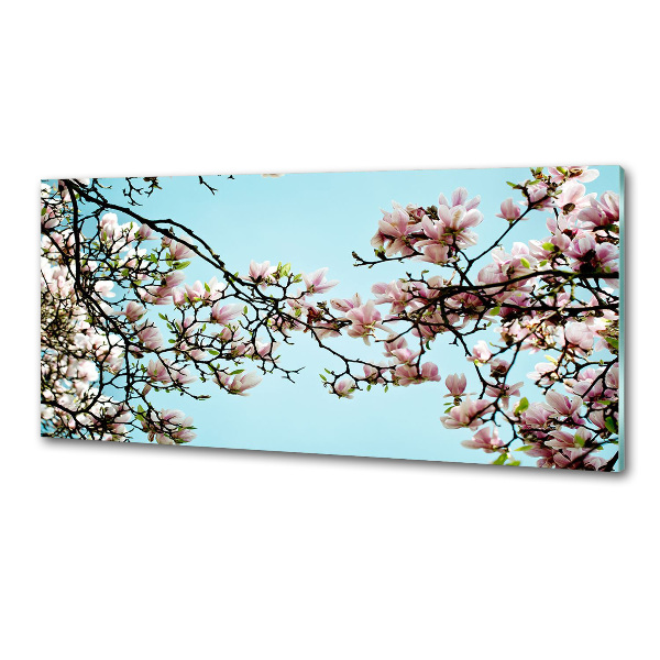 Pannello retrocucina con motivo fiori di magnolia