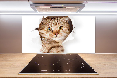Rivestimento parete cucina con motivo a forma di gatto