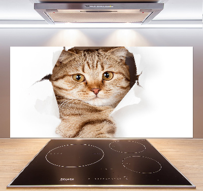 Rivestimento parete cucina con motivo a forma di gatto