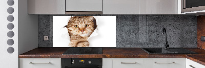 Rivestimento parete cucina con motivo a forma di gatto