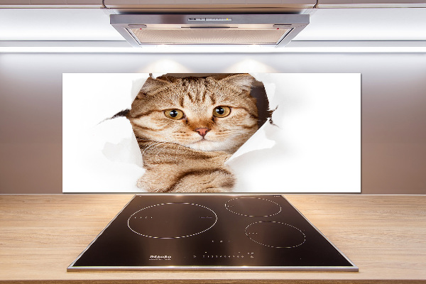 Rivestimento parete cucina con motivo a forma di gatto