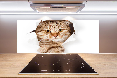 Rivestimento parete cucina con motivo a forma di gatto