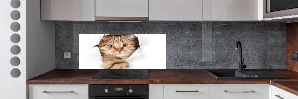 Rivestimento parete cucina con motivo a forma di gatto