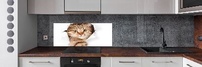 Rivestimento parete cucina con motivo a forma di gatto