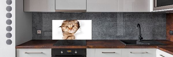 Rivestimento parete cucina con motivo a forma di gatto