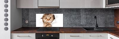Rivestimento parete cucina con motivo a forma di gatto
