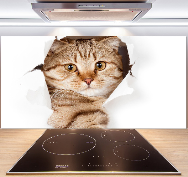 Rivestimento parete cucina con motivo a forma di gatto