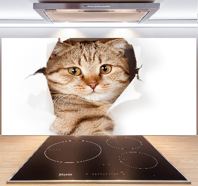 Rivestimento parete cucina con motivo a forma di gatto