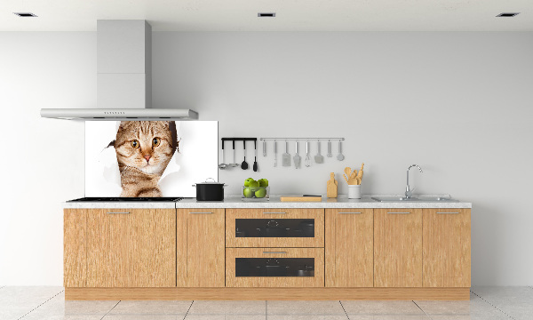 Rivestimento parete cucina con motivo a forma di gatto