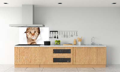 Rivestimento parete cucina con motivo a forma di gatto