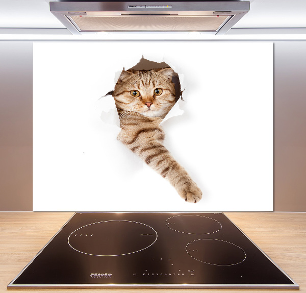 Rivestimento parete cucina con motivo a forma di gatto