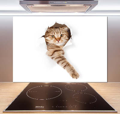Rivestimento parete cucina con motivo a forma di gatto
