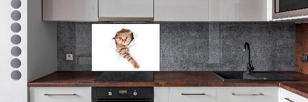 Rivestimento parete cucina con motivo a forma di gatto