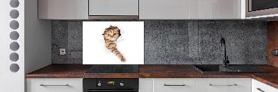 Rivestimento parete cucina con motivo a forma di gatto