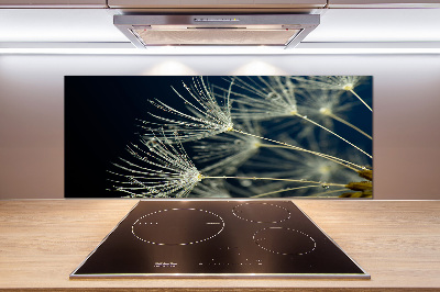 Pannello paraschizzi cucina con motivo a semi di tarassaco