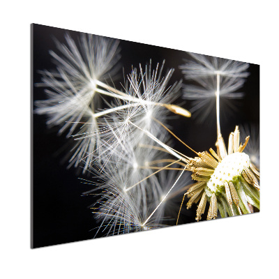 Rivestimento parete cucina con motivo a semi di tarassaco