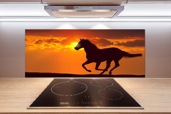 Pannello paraschizzi cucina con stampa 