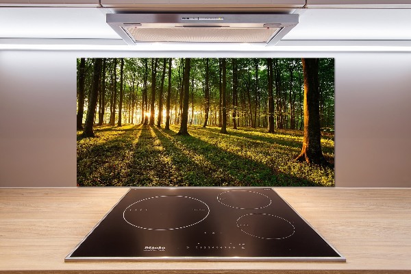 Pannello paraschizzi cucina con motivo Raggi di sole