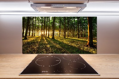 Pannello paraschizzi cucina con motivo Raggi di sole