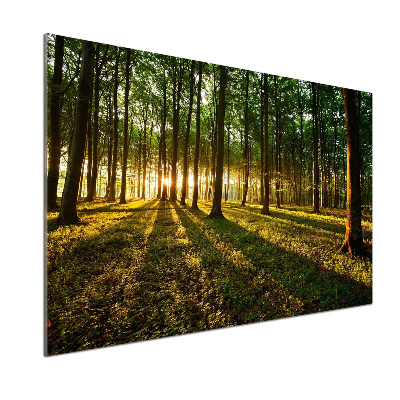 Pannello paraschizzi cucina con motivo Raggi di sole