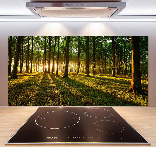 Pannello paraschizzi cucina con motivo Raggi di sole