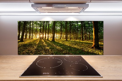 Pannello paraschizzi cucina con motivo Raggi di sole