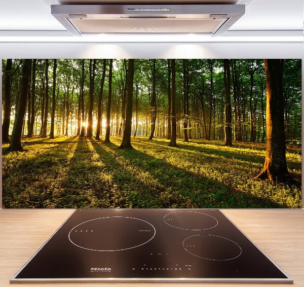 Pannello paraschizzi cucina con motivo Raggi di sole