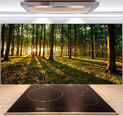 Pannello paraschizzi cucina con motivo Raggi di sole