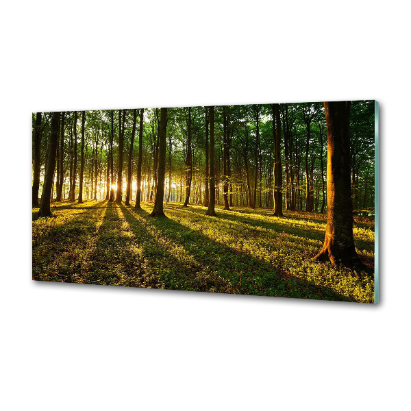 Pannello paraschizzi cucina con motivo Raggi di sole