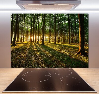 Pannello paraschizzi cucina con motivo Raggi di sole