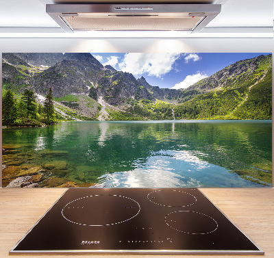 Pannello paraschizzi cucina con stampa 