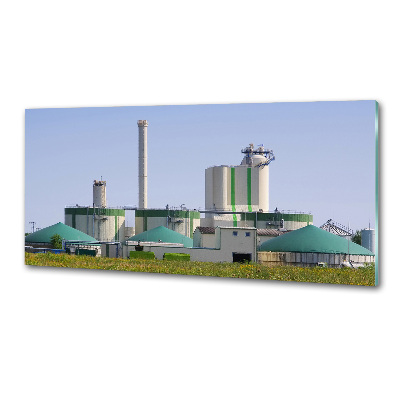 Rivestimento parete cucina con impianto a biogas