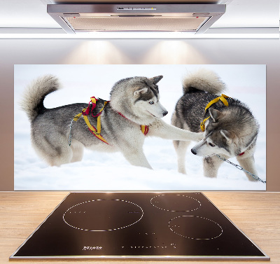 Pannello retrocucina con stampa raffigurante un husky in inverno