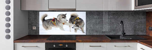 Pannello retrocucina con stampa raffigurante un husky in inverno