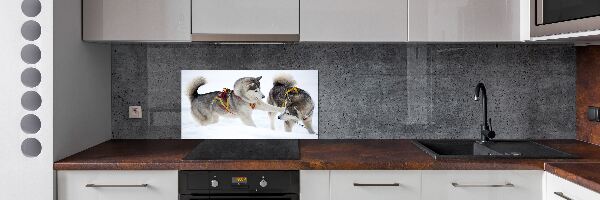 Pannello retrocucina con stampa raffigurante un husky in inverno