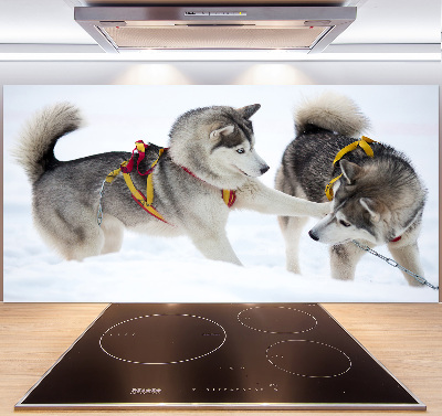 Pannello retrocucina con stampa raffigurante un husky in inverno