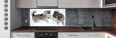 Pannello retrocucina con stampa raffigurante un husky in inverno